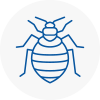Bed Bug Extermination In Barnard Castle